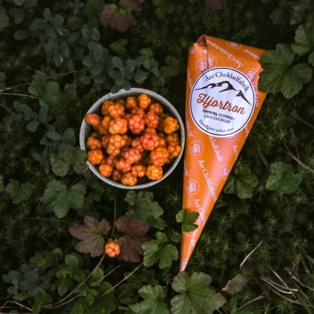 Åre Choklad - Hjortron Ganache