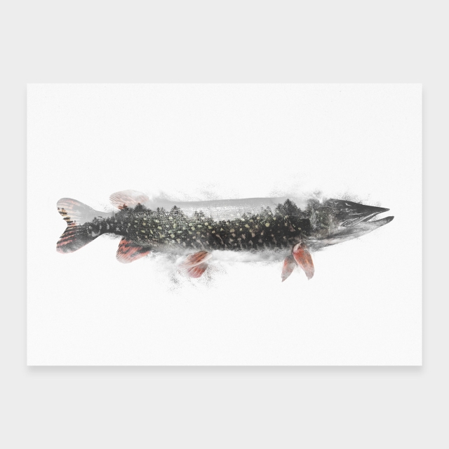Gädda