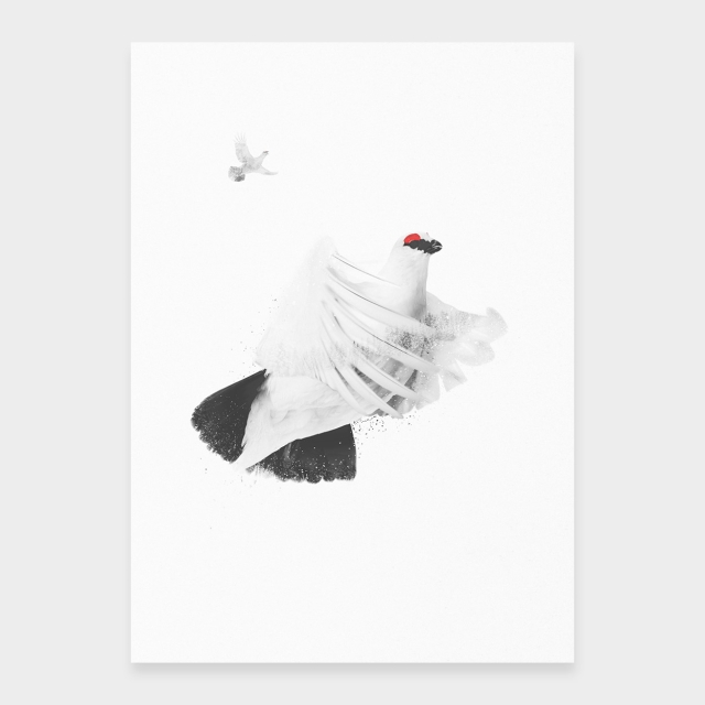 Flyvende rype
