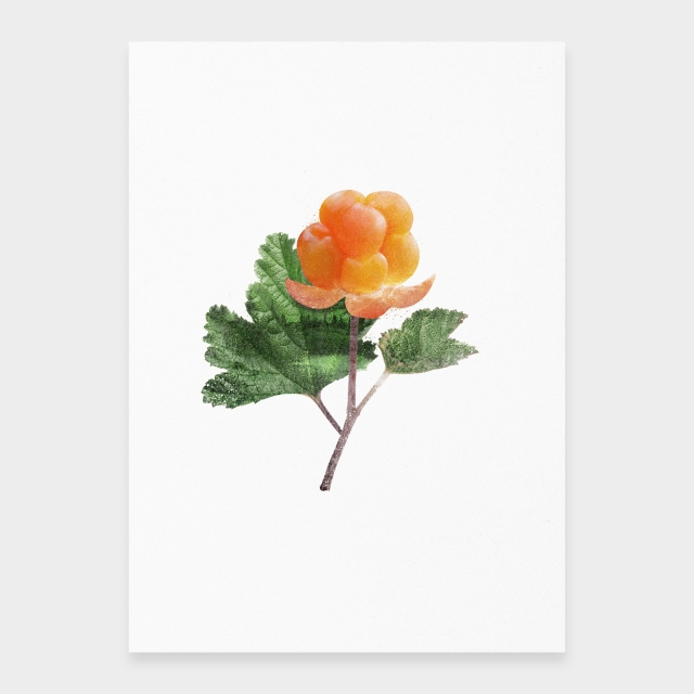 Cloudberries