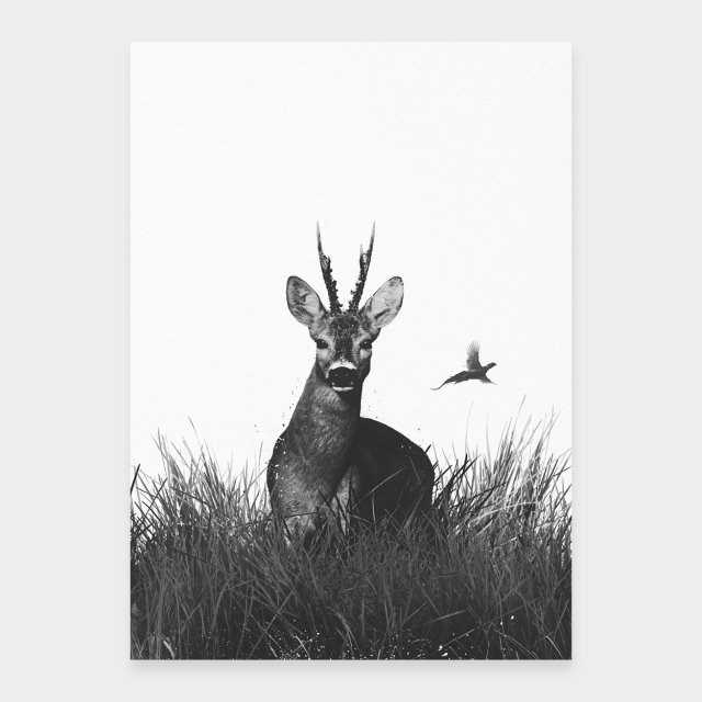 Sommarbock