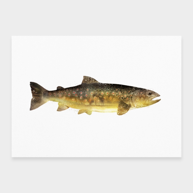 Ørred
