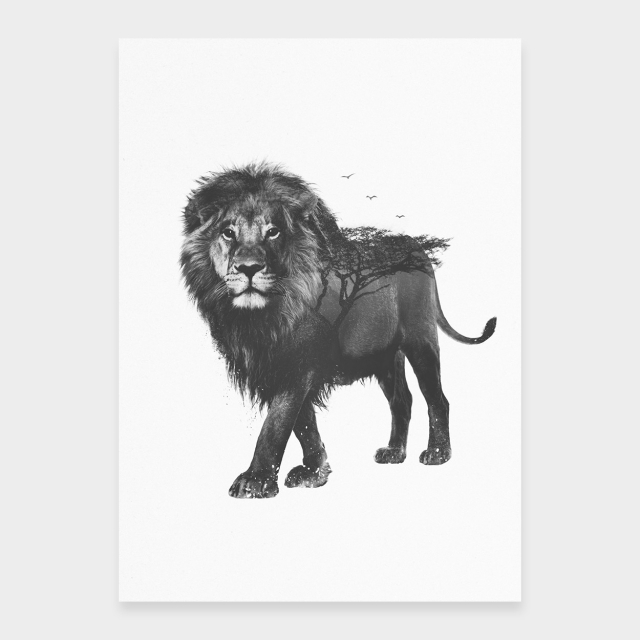 Lejon