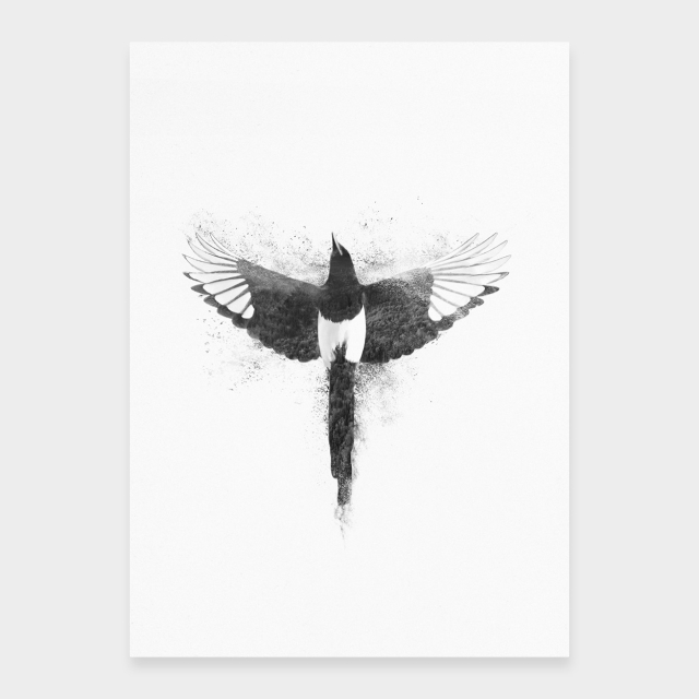 Magpie