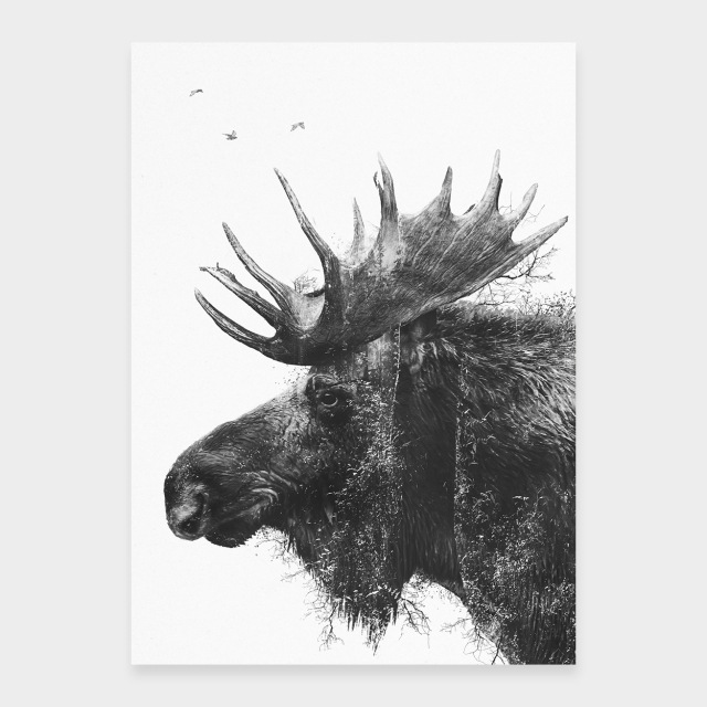 Älg av skog